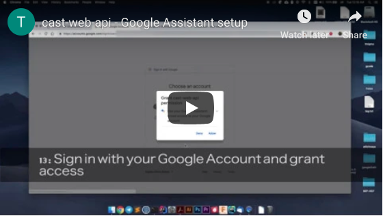 cast-web-api - Google Assistant setup